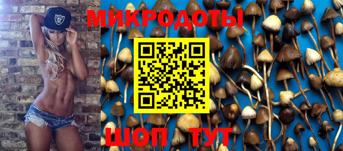 Псилоцибиновые грибы ЛСД  Вход с VPN  Лениногорск 